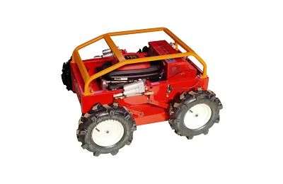 Things to check before starting the lawn mower
