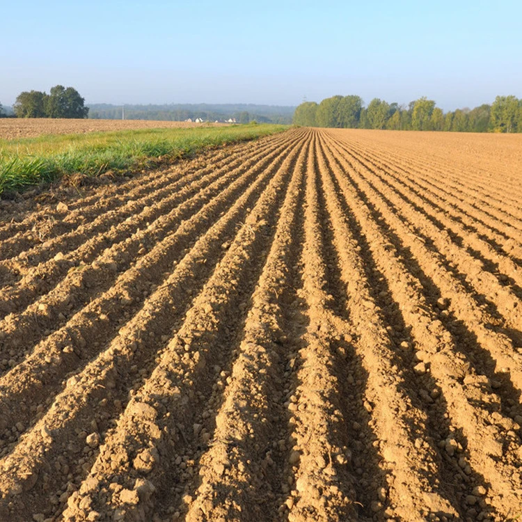 product-1-1
