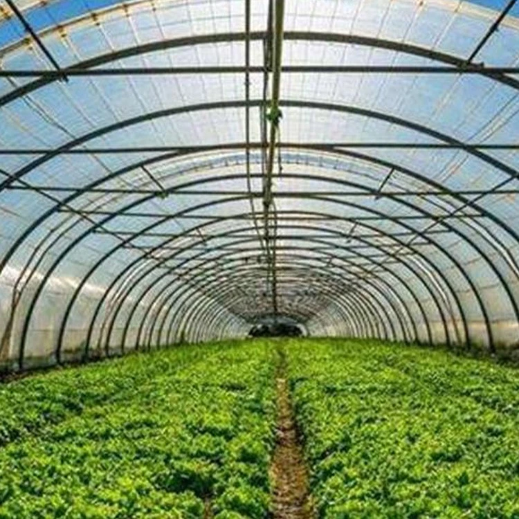 product-750-750
